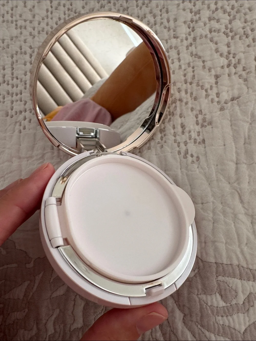 Dior DreamSkin Perfect Skin Cushion Compact in Pale Pink